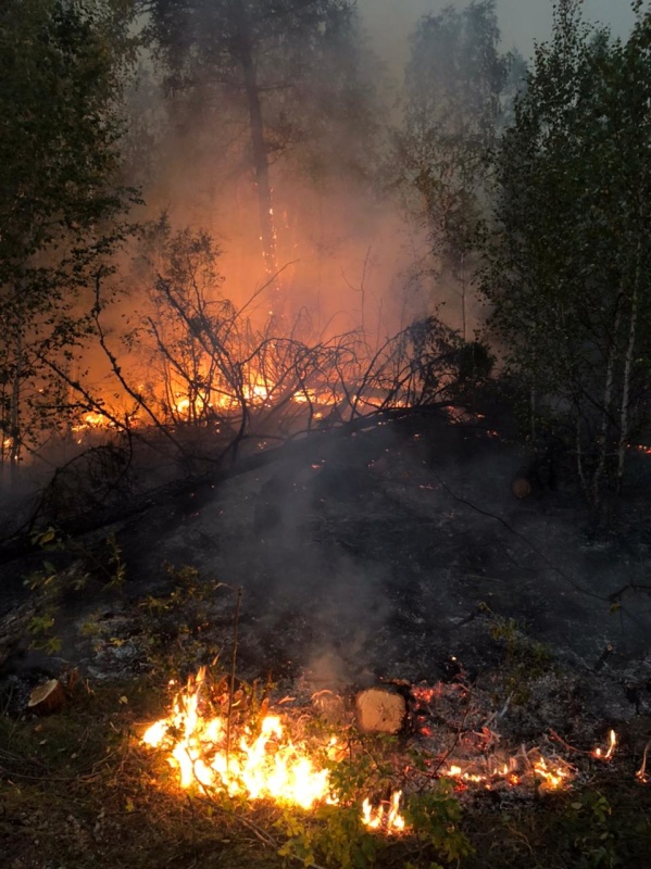 Группировка Тульского спасательного центра участвует в тушении природных пожаров в Якутии