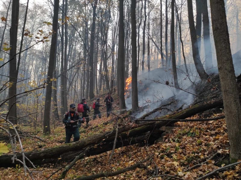 Ликвидация последствий пожара на территории Рязанской области