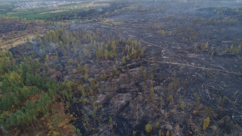 Проведение работ по тушению природных пожаров на территории Воронежской области.