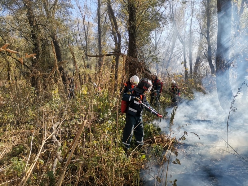 Проведение работ по тушению природных пожаров на территории Воронежской области.