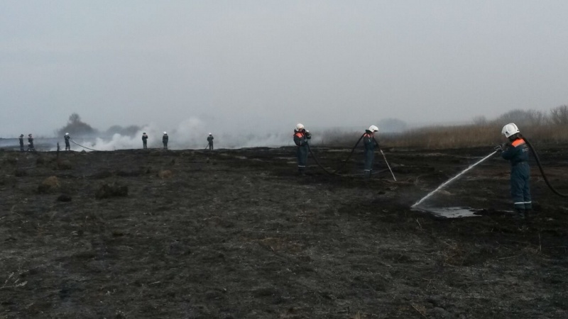 Ликвидация лесоторфяных пожаров на территории Брянской области