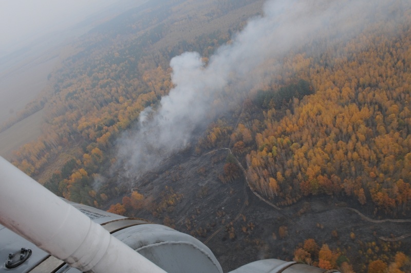 Ликвидация лесоторфяных пожаров на территории Брянской области